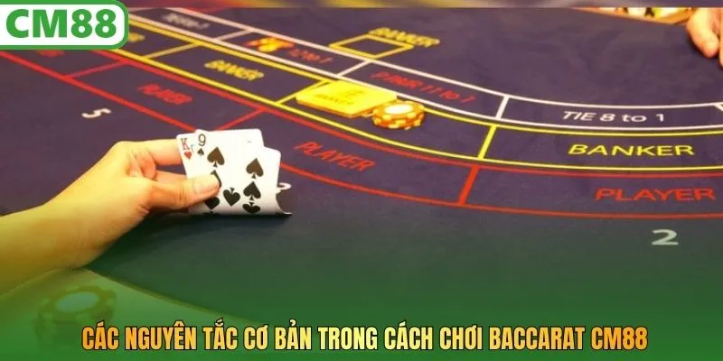 Các nguyên tắc cơ bản trong cách chơi baccarat CM88